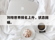 IM官方网站最新下载-刘翔世界排名上升，状态回暖。