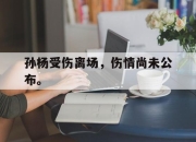 IM官方网站最新下载-孙杨受伤离场，伤情尚未公布。