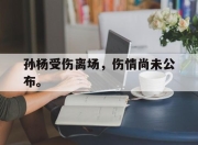 IM官方网站最新下载-孙杨受伤离场，伤情尚未公布。