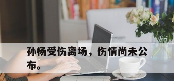 IM官方网站最新下载-孙杨受伤离场，伤情尚未公布。