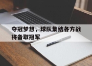 IM电竞官方网站下载app-夺冠梦想，球队集结各方战将备取冠军