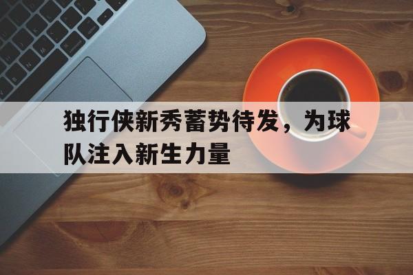 独行侠新秀蓄势待发，为球队注入新生力量
