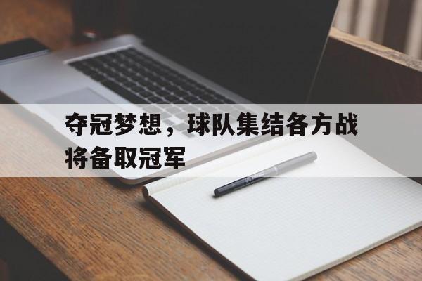 夺冠梦想，球队集结各方战将备取冠军